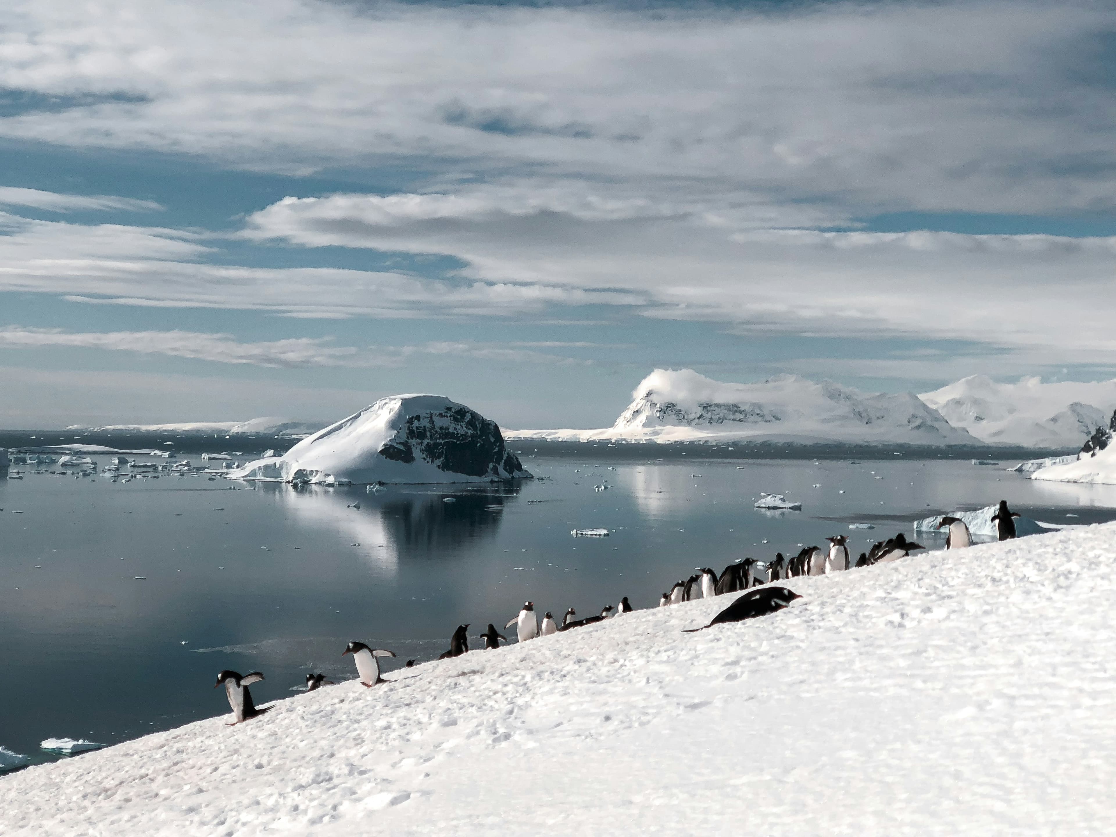 Antarctica