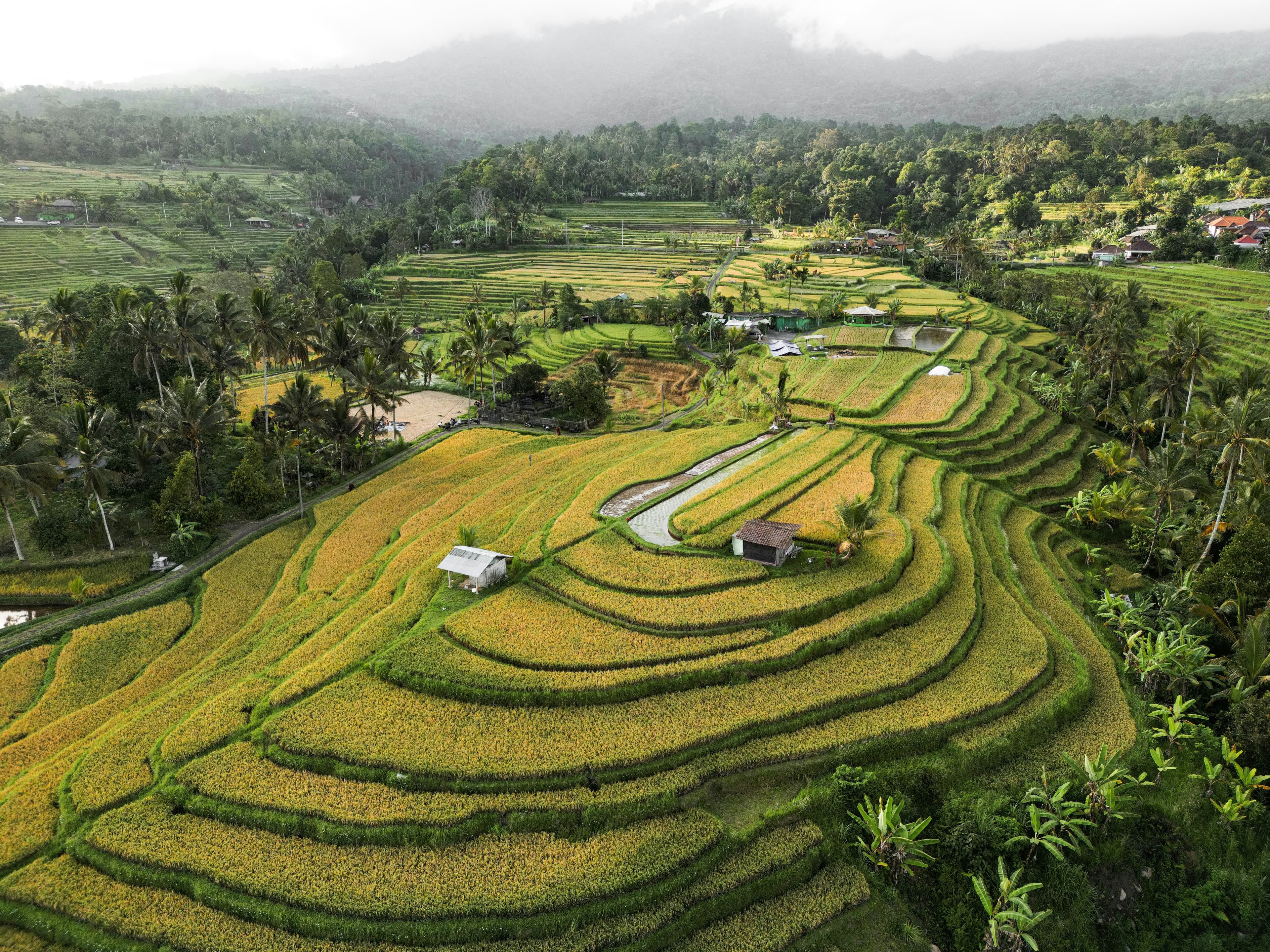Indonesia