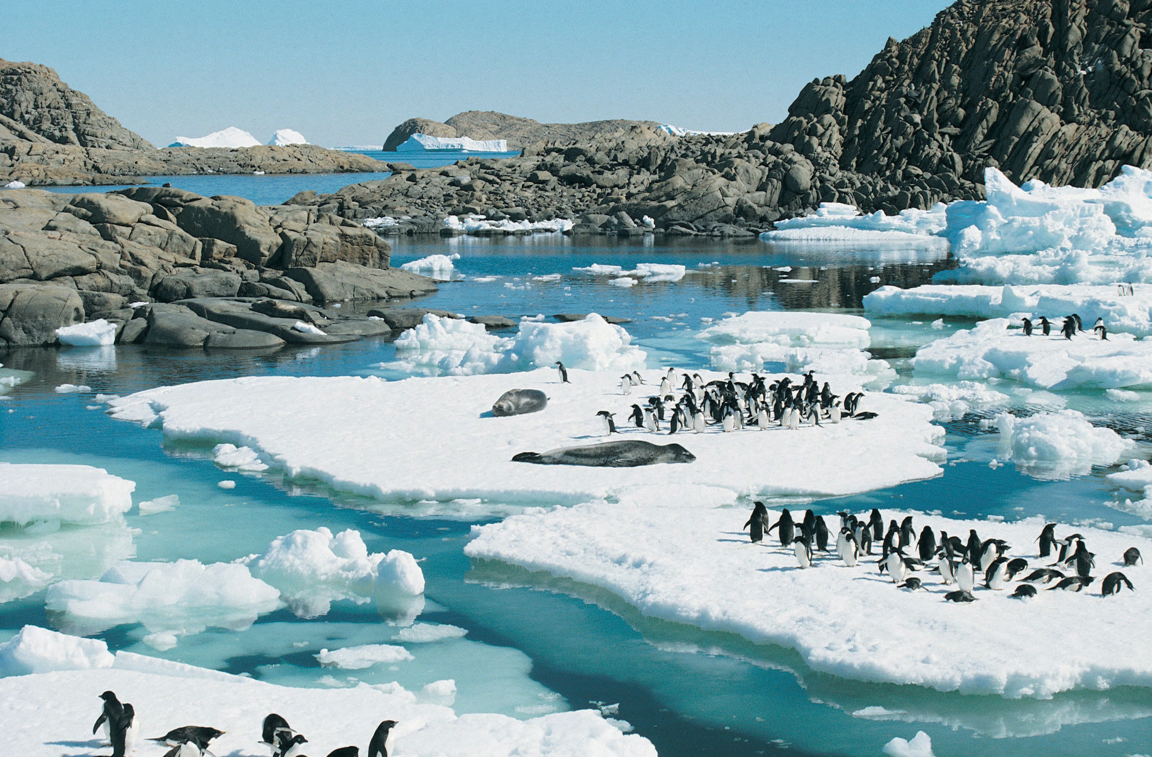 Entering the Antarctic Sound — Antarctic Sound