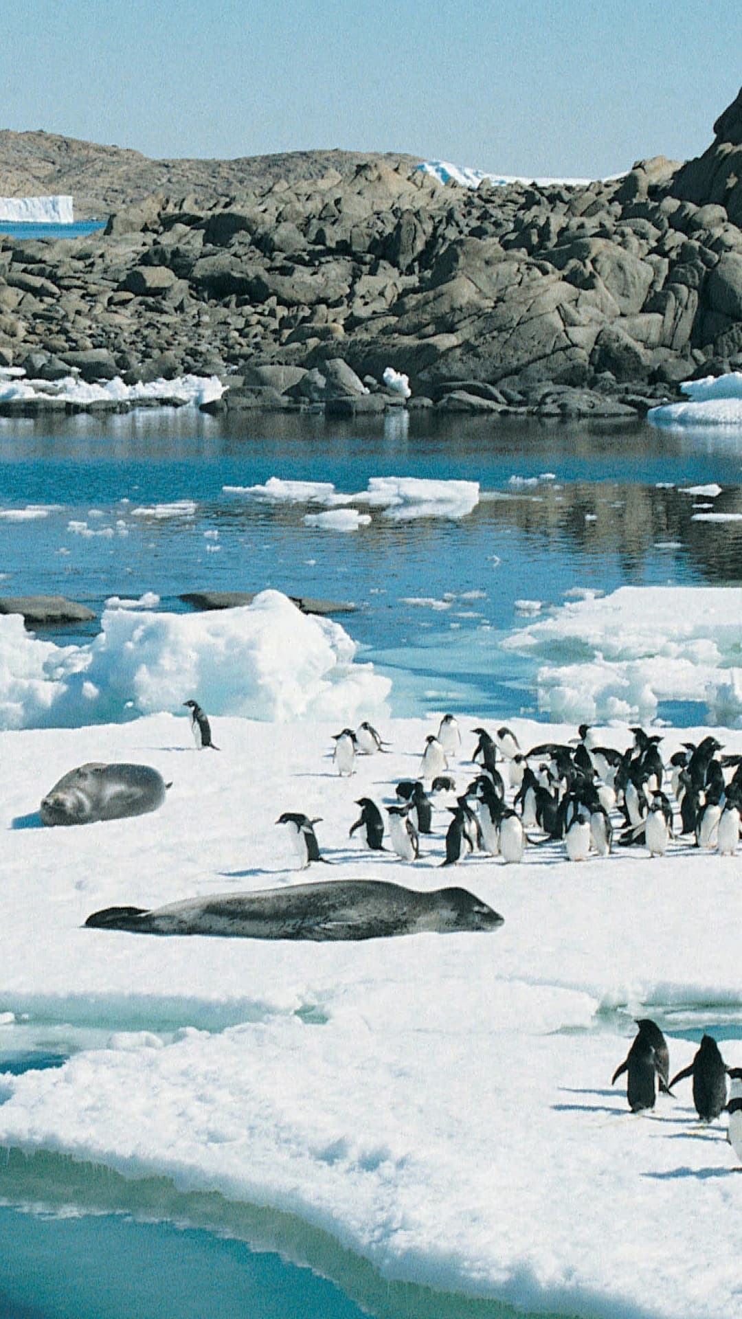 Entering the Antarctic Sound — Antarctic Sound