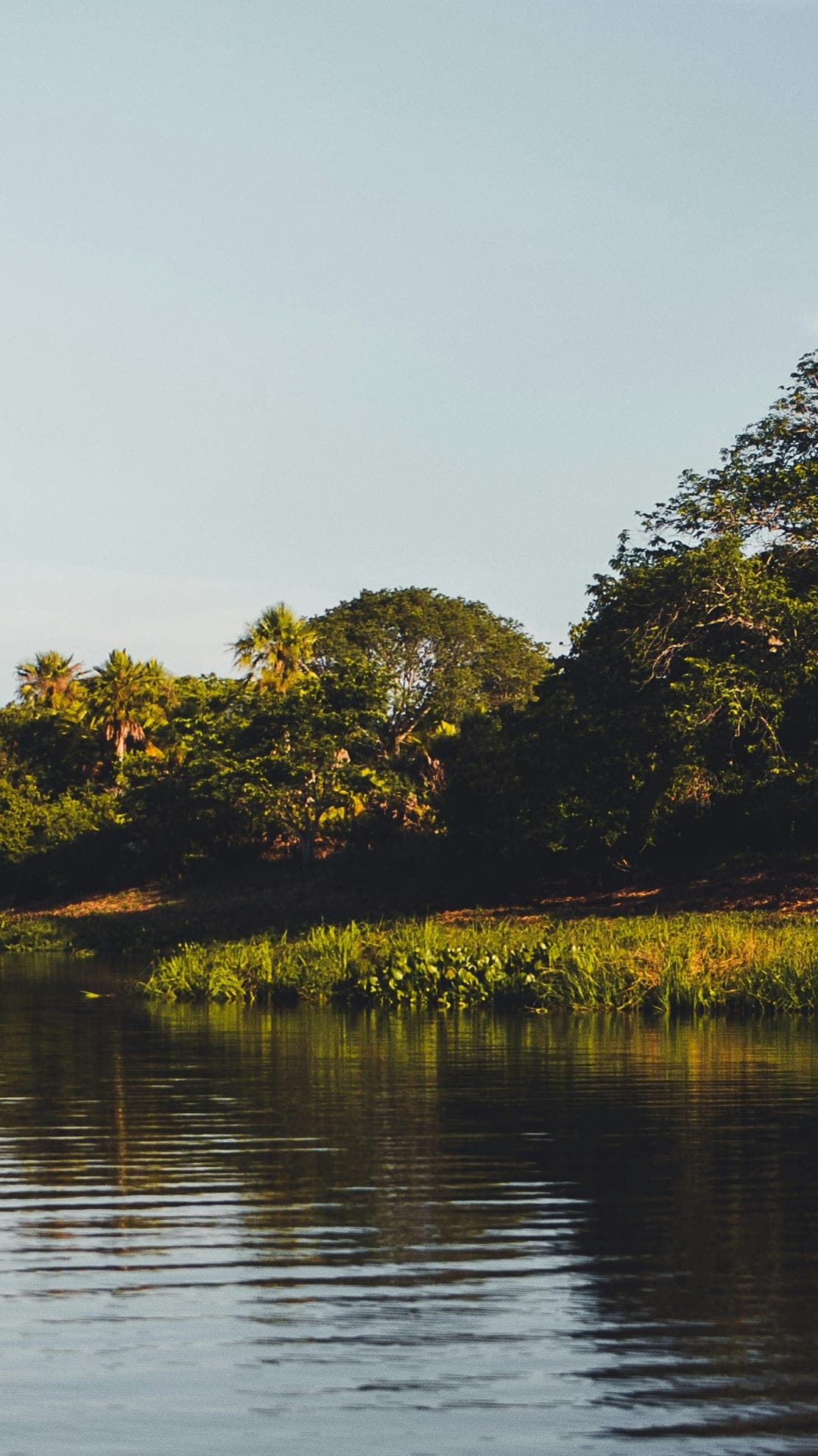 Gateway to the Wetlands — Campo Grande