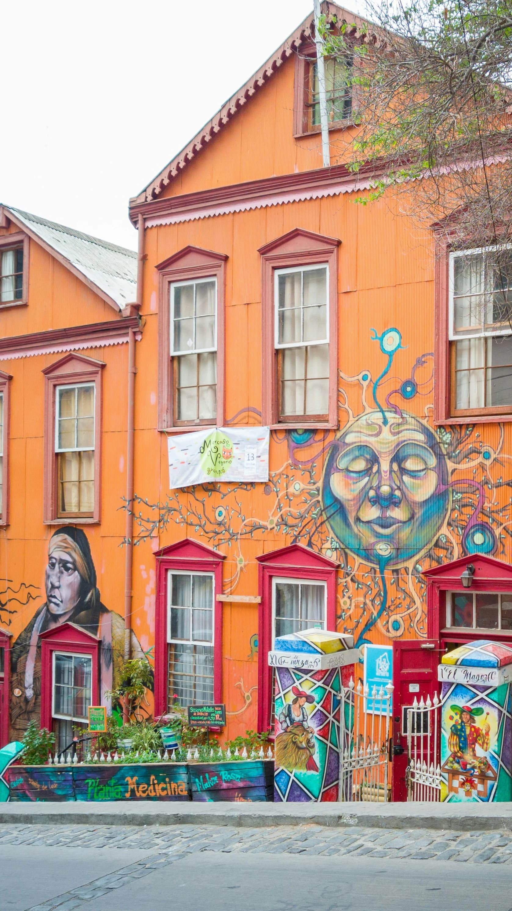 Vineyards and the Painted City — Valparaiso